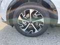 Kia Sportage 1,6 TGDI 48V Gold DCT Weiß - thumbnail 8