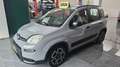 Fiat Panda Panda hybrid City Life Targa GG455ZWprezzovero Grigio - thumbnail 3
