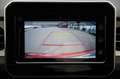 Suzuki Ignis 1.2 Hybrid Comfort+ Navi Klima Kamera Red - thumbnail 12