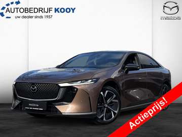 Takumi 258pk / 68.8 kWh / Snelladen