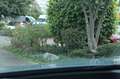 Opel Astra L 5-trg. 1.2T DCT6 48V GS, Pano, 360° Grau - thumbnail 13