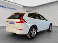 Volvo XC60 XC60 B5 D AWD Geartronic Momentum Pro Weiß - thumbnail 5
