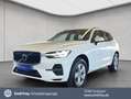 Volvo XC60 XC60 B5 D AWD Geartronic Momentum Pro Weiß - thumbnail 1