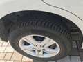 Daihatsu Terios 1.5 GPL - SOLO 57.000 KM - thumbnail 14
