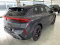 CUPRA Terramar Terramar 1.5 e-hybrid Impulse PLUG-IN dsg Grau - thumbnail 8