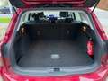 Ford Focus 1.0 EcoBoost Trend Navi PDC Cruise Alu Verw zetels Rood - thumbnail 9