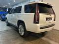 Cadillac Escalade Escalade IV 2015 6.2 V8 Platinum auto Bianco - thumbnail 5