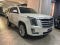 Cadillac Escalade Escalade IV 2015 6.2 V8 Platinum auto Bianco - thumbnail 4
