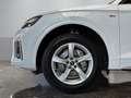 Audi Q5 S line 40 TDI quattro S-tronic +KAMERA+VIRTUA Weiß - thumbnail 4