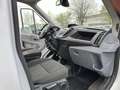 Ford Transit Kasten 350 L2 Klima Standhzg Kam. uvm... Weiß - thumbnail 13