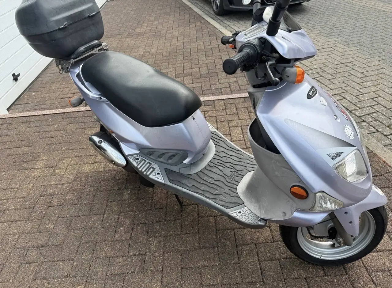 Pgo T-Rex 150