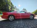 Chevrolet Camaro Camaro 3.8 Automatik Rouge - thumbnail 5