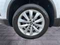 SEAT Ateca 1,6 TDI Style RKam Shz Navi Tempomat Weiß - thumbnail 13