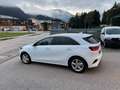 Kia Ceed / cee'd ceed 1,6 CRDi ISG Gold DCT Gold - thumbnail 19