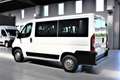 Peugeot Boxer 330 2.0 BlueHDi/110CV FAP PC-TN Combi Comfort-9 PO Blanc - thumbnail 7