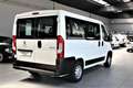Peugeot Boxer 330 2.0 BlueHDi/110CV FAP PC-TN Combi Comfort-9 PO Blanc - thumbnail 5