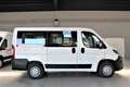 Peugeot Boxer 330 2.0 BlueHDi/110CV FAP PC-TN Combi Comfort-9 PO Blanc - thumbnail 4