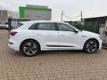 Audi e-tron e-tron 55 quattro 95kWh Business Business Weiß - thumbnail 1