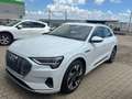 Audi e-tron e-tron 55 quattro 95kWh Business Business Weiß - thumbnail 5