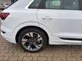 Audi e-tron e-tron 55 quattro 95kWh Business Business Weiß - thumbnail 16