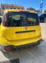 Fiat New Panda Panda 1.0 FireFly S&S Hybrid Pandina Galben - thumbnail 12