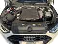 Audi A4 Avant 35 TDI S-LINE LED NAVI ACC 18'' REARVIEW 3Z- Weiß - thumbnail 9