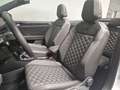 Volkswagen T-Roc Cabriolet R-LINE 1.5 TSI DSG NAV AHK LED ACC Weiß - thumbnail 6