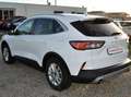 Ford Kuga Kuga 1.5 ecoblue Titanium 2wd 120cv Bianco - thumbnail 7