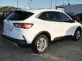 Ford Kuga Kuga 1.5 ecoblue Titanium 2wd 120cv Bianco - thumbnail 5