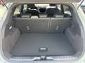 Ford Puma ST-Line 1,0L Eboost Hybrid 125PS M FWD Grau - thumbnail 13