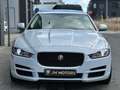 Jaguar XE 2.0i Sport | Camera | Opendak | Keyless Blanc - thumbnail 15