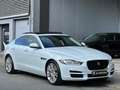 Jaguar XE 2.0i Sport | Camera | Opendak | Keyless Blanc - thumbnail 5