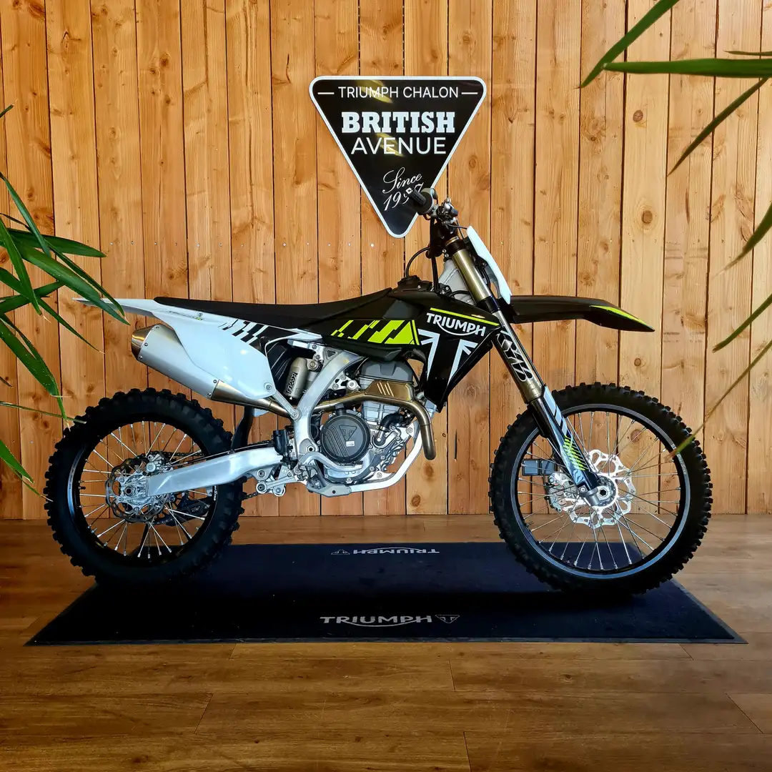 Triumph - 1