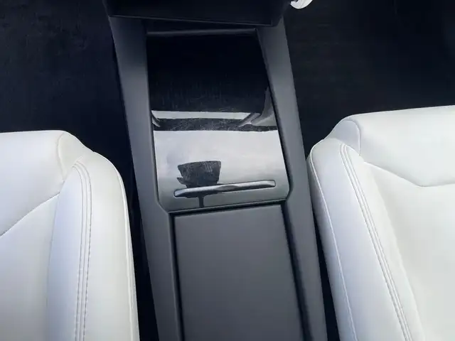 Tesla Model X view 11