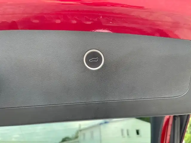 Tesla Model X view 17