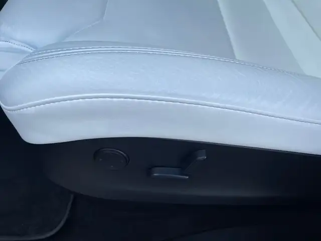 Tesla Model X view 15