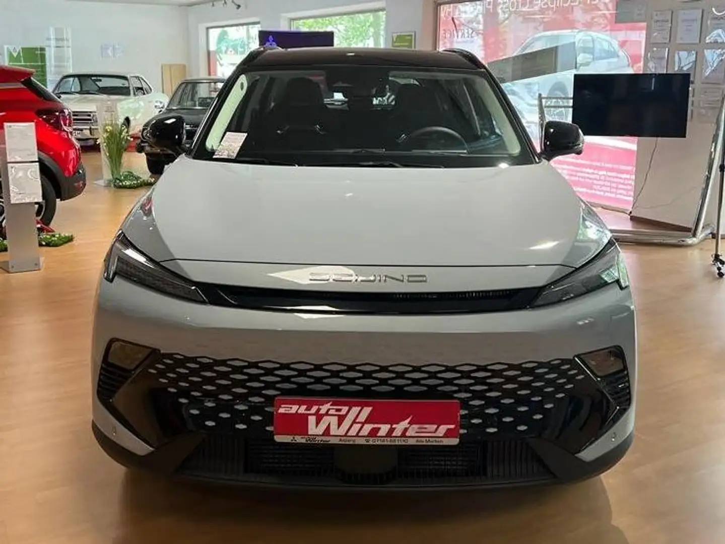 BAIC Beijing X55 X55 Blau - 2