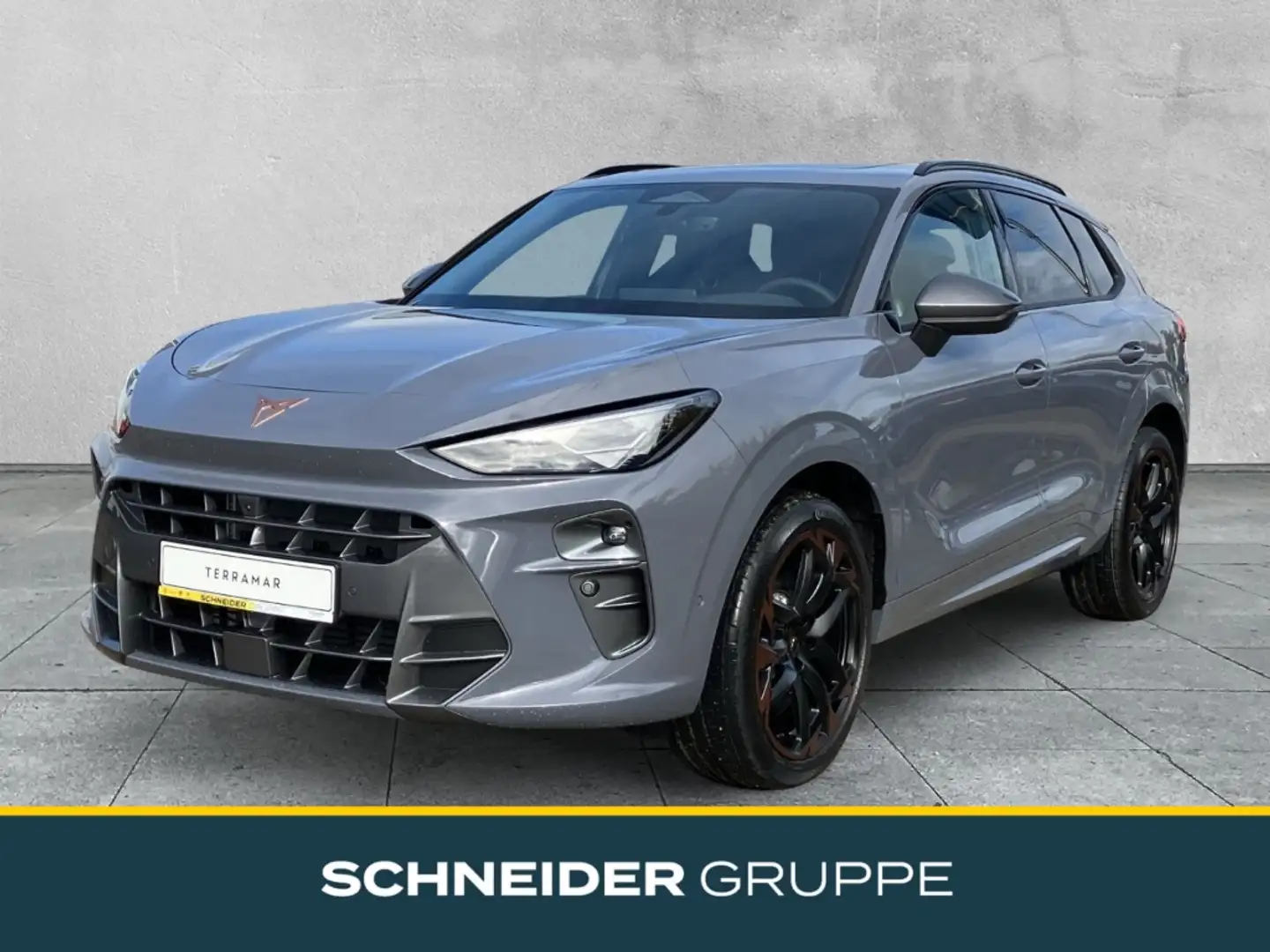 CUPRA Terramar VZ 2.0 TSI 265 PS DSG 4Drive MATRIX+SHZ Gris - 1