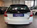 Skoda Rapid/Spaceback Spaceback Emotion Plus *PANORAMAGLASDACH* Alb - thumbnail 5