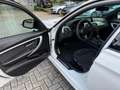 BMW 318 3-serie 318i Centennial Executive M Sport|19 inch Wit - thumbnail 19