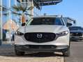 Mazda CX-30 2.5 G140 6AT HOMURA Weiß - thumbnail 6