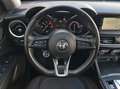 Alfa Romeo Stelvio Business Q4 - ASSISTS - CAM - MEMORY Grau - thumbnail 10