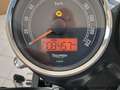 Triumph Bonneville America TRIMPH BONNEVILLE  T-100  VERO AFFARE!! - thumbnail 9