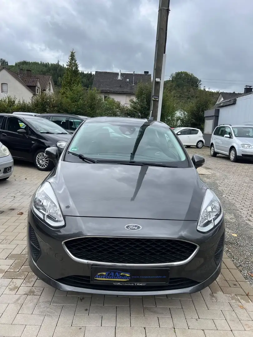 Ford Fiesta Motorschaden Gris - 2