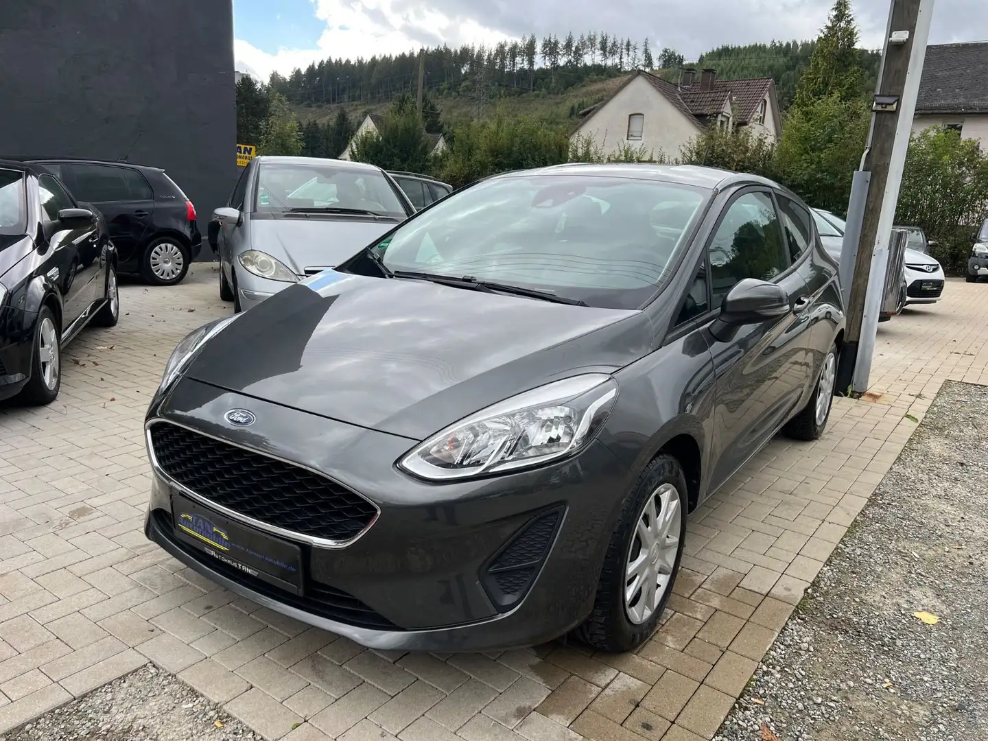 Ford Fiesta Motorschaden Gris - 1