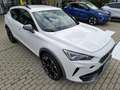 CUPRA Formentor 1.4 e-Hybrid 150 kW (204 PS) DSG Weiß - thumbnail 5