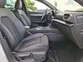CUPRA Formentor 1.4 e-Hybrid 150 kW (204 PS) DSG Weiß - thumbnail 14