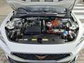 CUPRA Formentor 1.4 e-Hybrid 150 kW (204 PS) DSG Weiß - thumbnail 39
