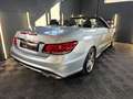 Mercedes-Benz E 250 E 250 Cabrio 1.Besitz/AMG/Led/Leder/Sitzbelüftung/SitzheizunCabrio-Komfort Silber - thumbnail 7