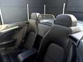 Mercedes-Benz E 250 E 250 Cabrio 1.Besitz/AMG/Led/Leder/Sitzbelüftung/SitzheizunCabrio-Komfort Silber - thumbnail 44